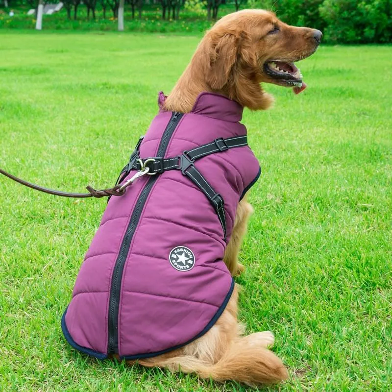 Built-in Cotton Pet Vest