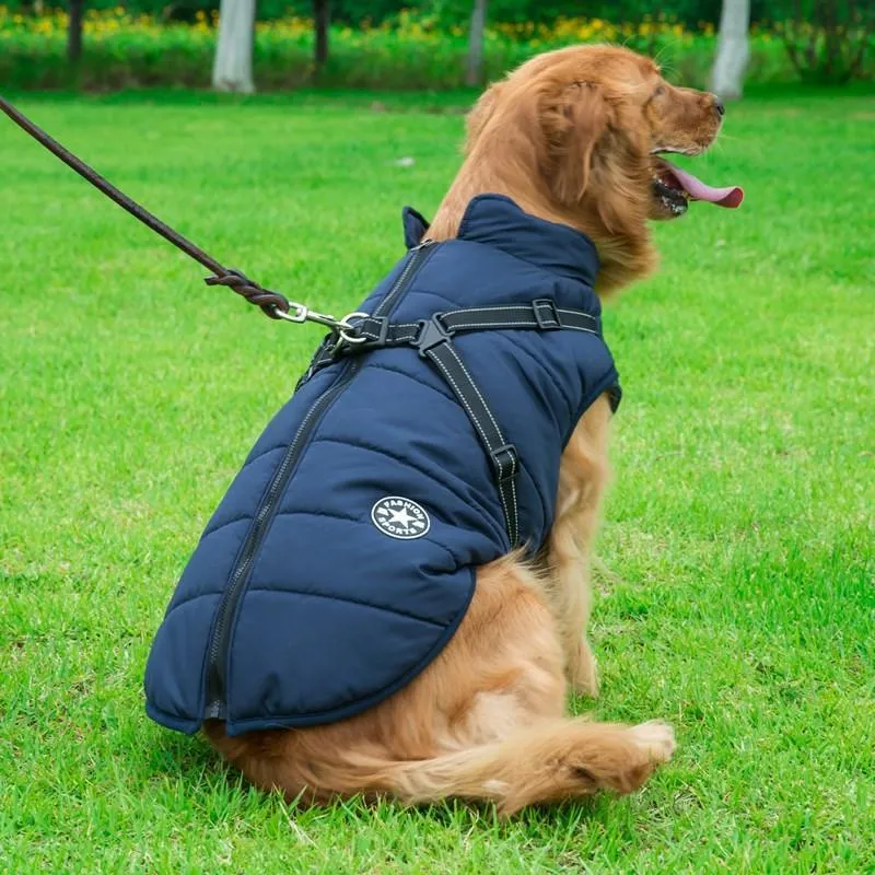 Built-in Cotton Pet Vest