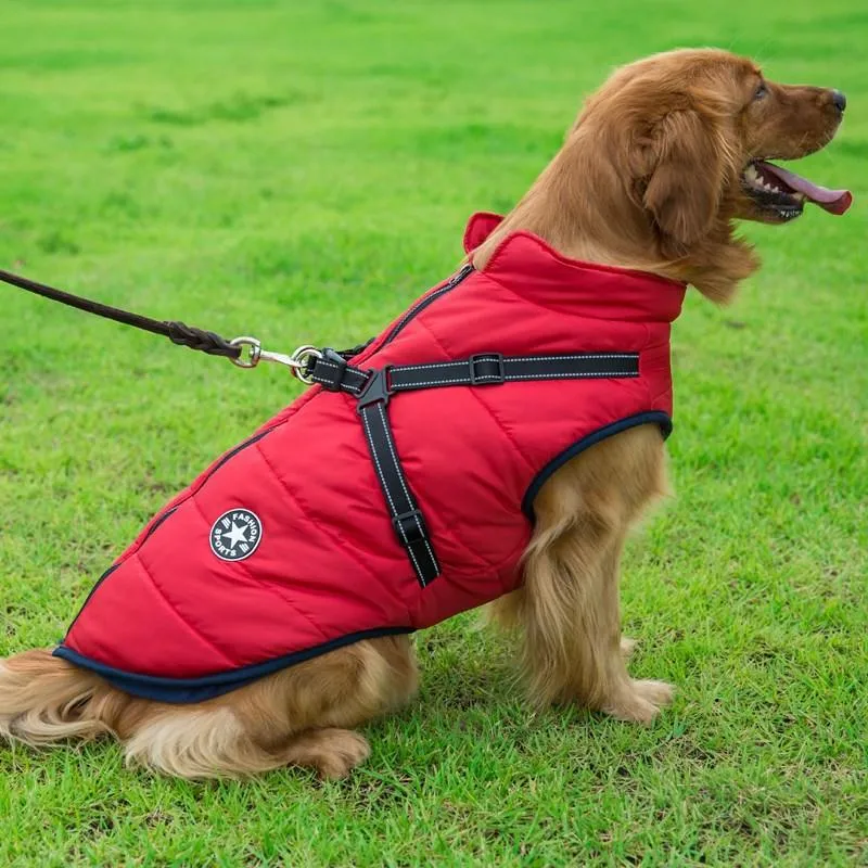 Built-in Cotton Pet Vest