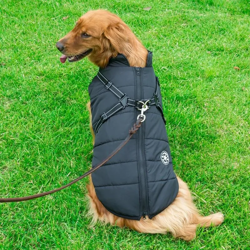 Built-in Cotton Pet Vest