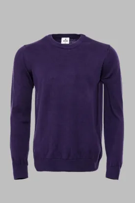 Crew Neck Long Sleeves Plain Purple Men Knitwear - Wessi