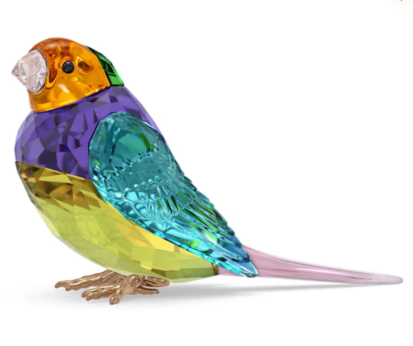 Ldyllia Small SCS Gouldian Finch