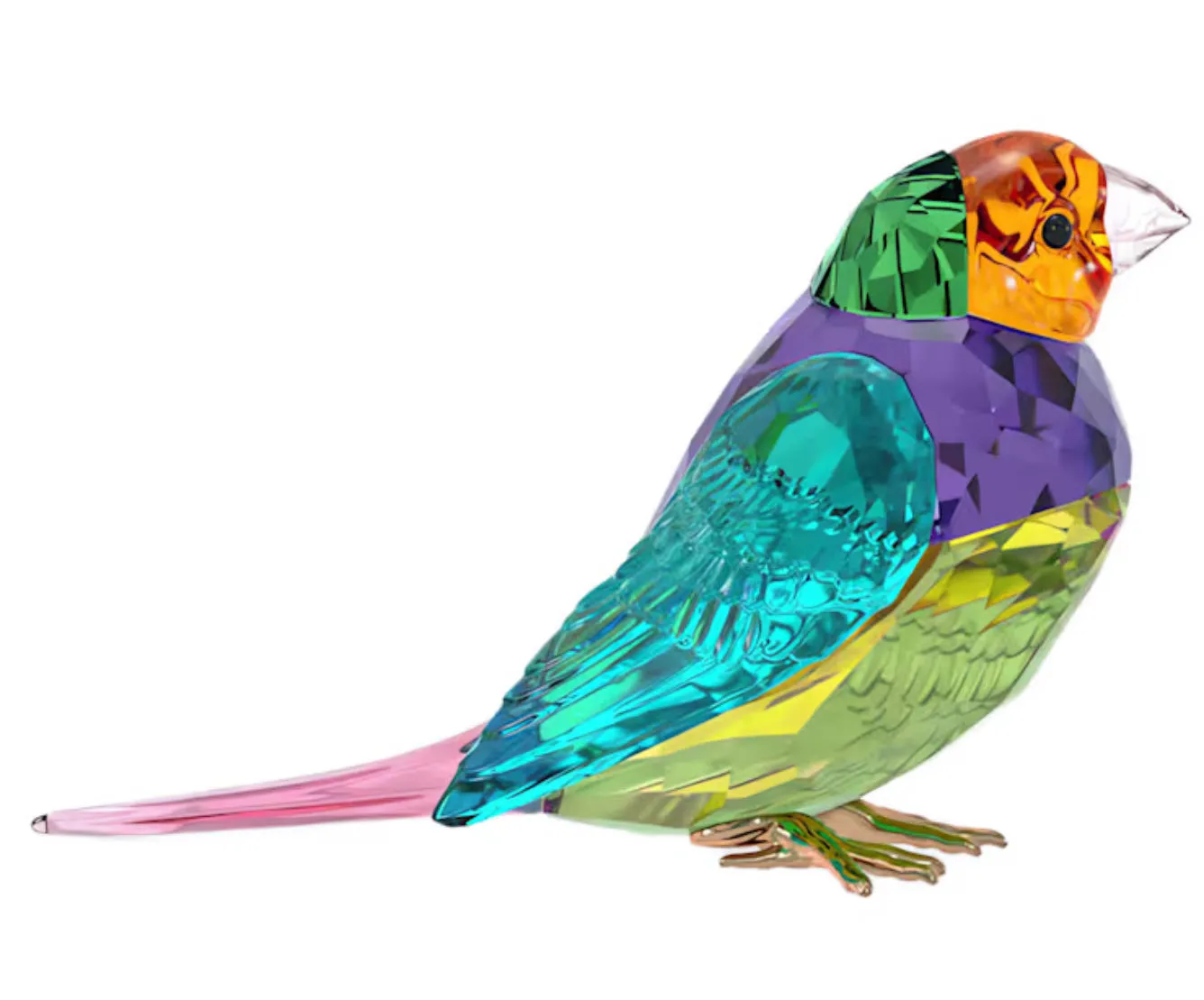 Ldyllia Small SCS Gouldian Finch