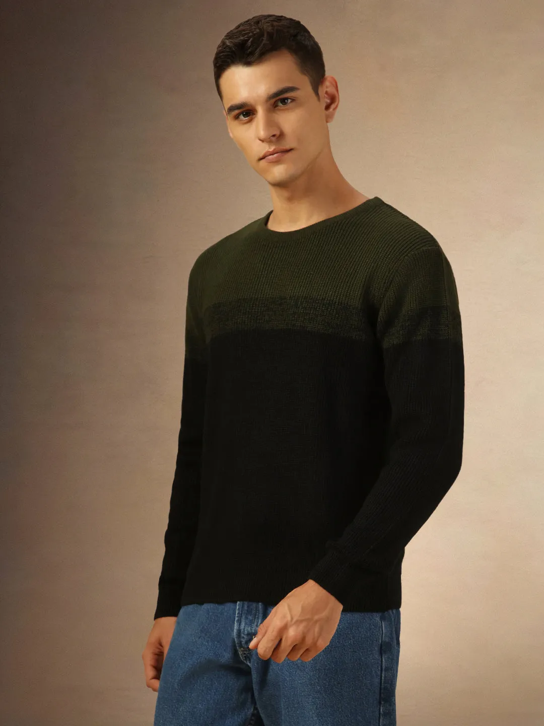 Men's Olive Colorblock Round Neck Full Sleeves Pullover Sweater